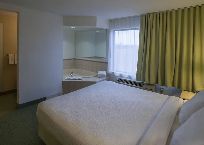 Springhill By Marriott Chicago 3*