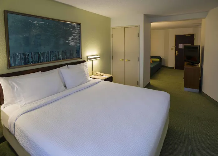 Hotel Springhill By Marriott Chicago