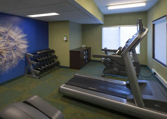 Hotel Springhill By Marriott Chicago 3*